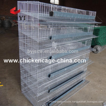 Quail Farm Equipment with Hot Galvanized Baby Layer Quail Broiler Quail Cage